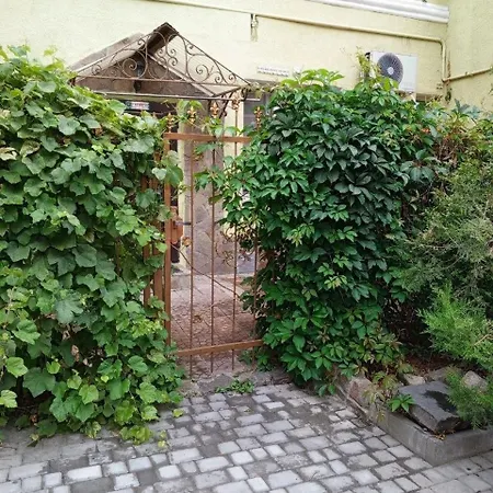 Mayak Guest house